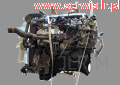 Photoroom-20250205_133953.png