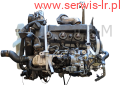 Photoroom-20250205_134042.png