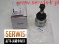 DSCF8156.JPG